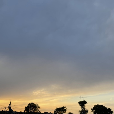 18205CF8-3357-4262-BD5D-7B2AF3C05B60.jpeg