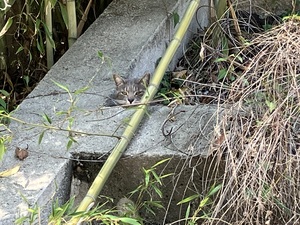 IMG_7262.jpeg