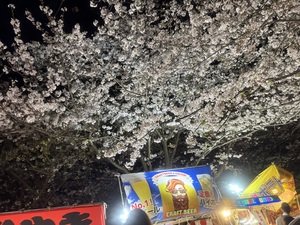 IMG_3891.jpeg