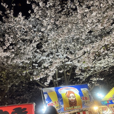 IMG_3891.jpeg