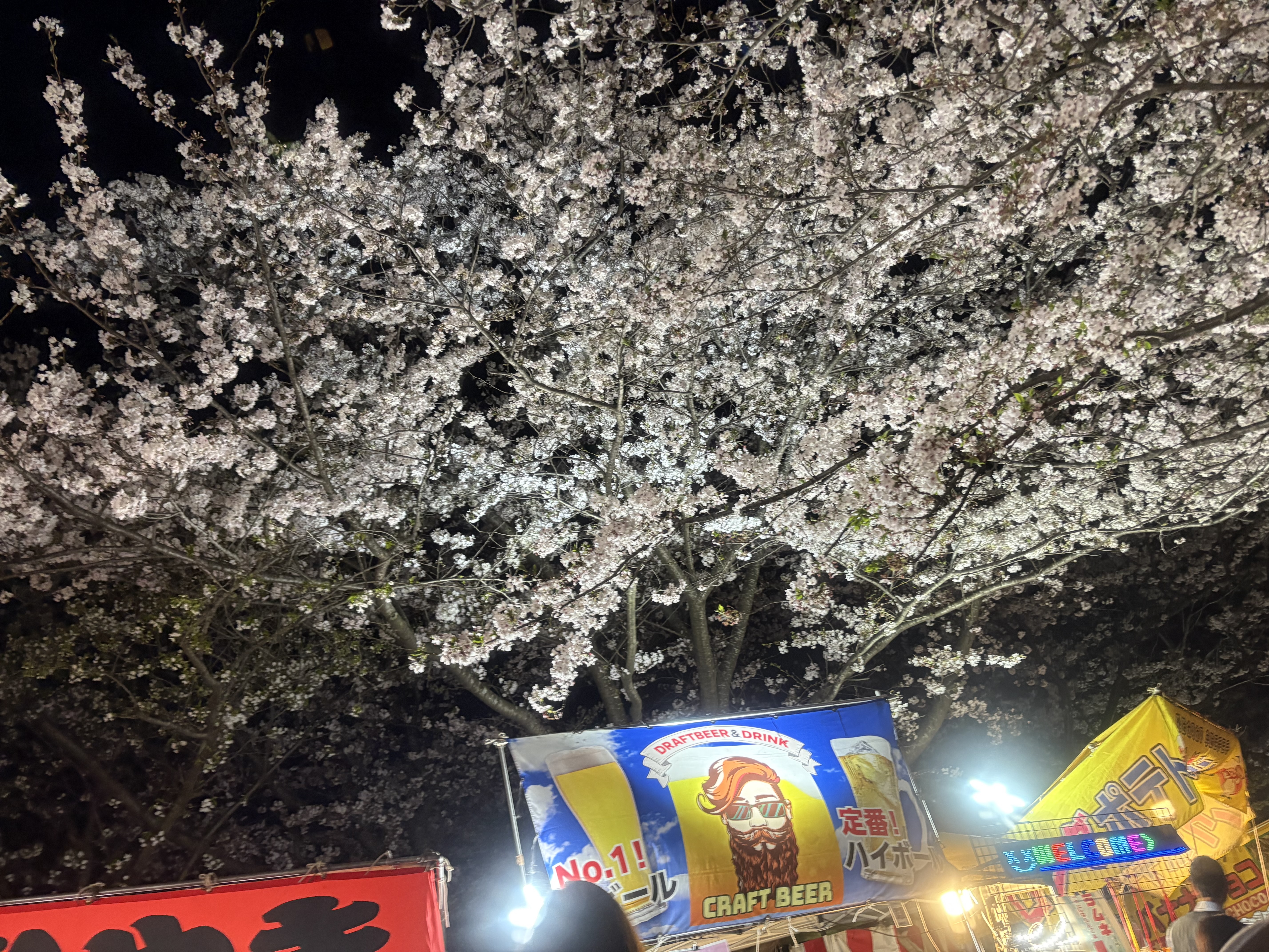 IMG_3891.jpeg