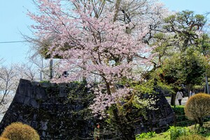 IMG_0027_2.JPG