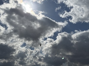 IMG_7178.jpeg