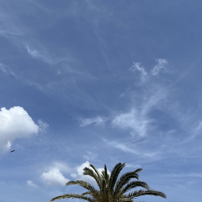 IMG_3026.jpeg