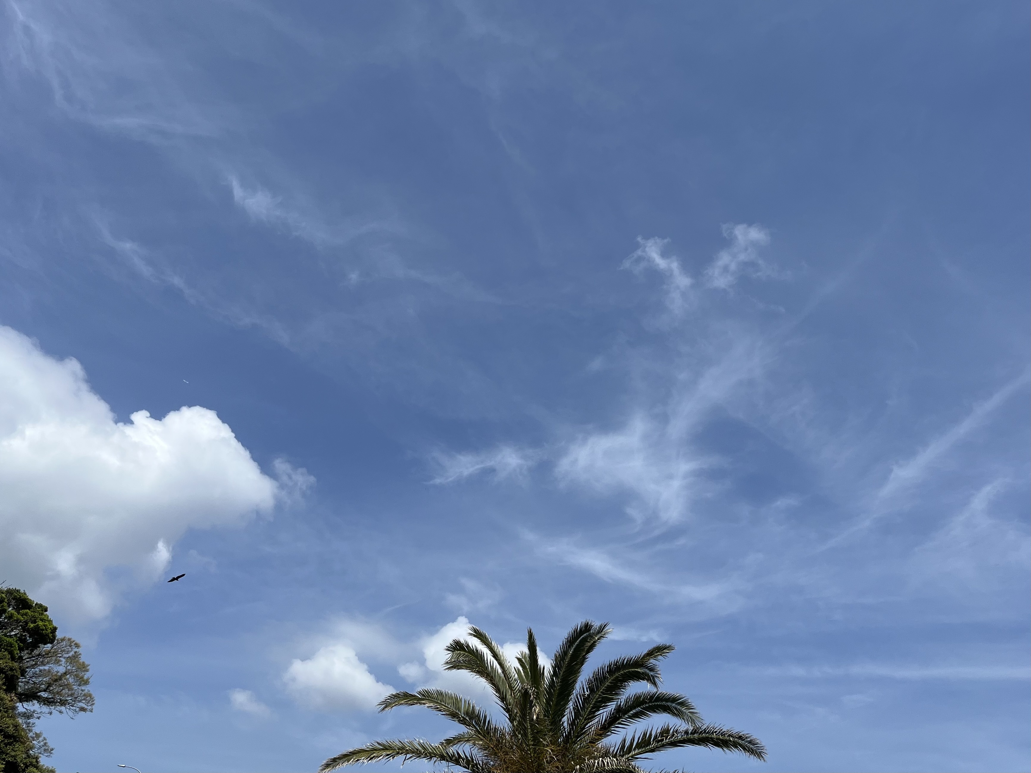 IMG_3026.jpeg