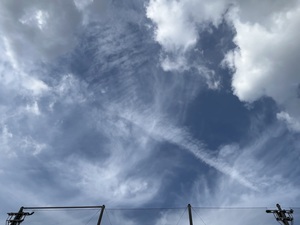 IMG_3031.jpeg