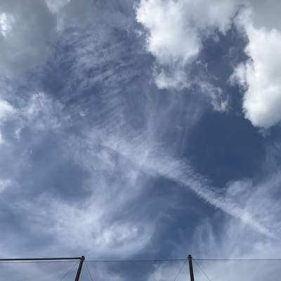 IMG_3031.jpeg