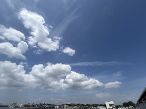 IMG_3030.jpeg