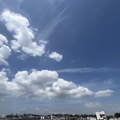 IMG_3030.jpeg