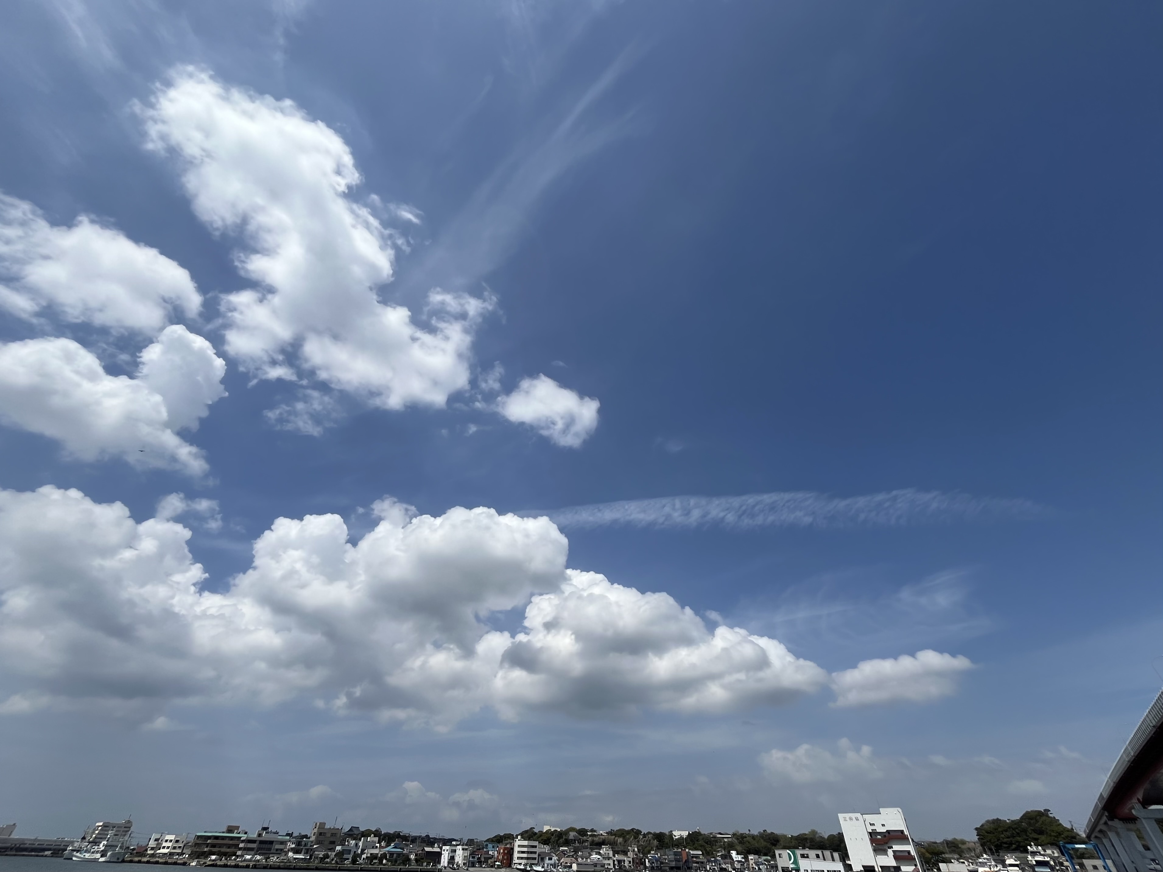 IMG_3030.jpeg