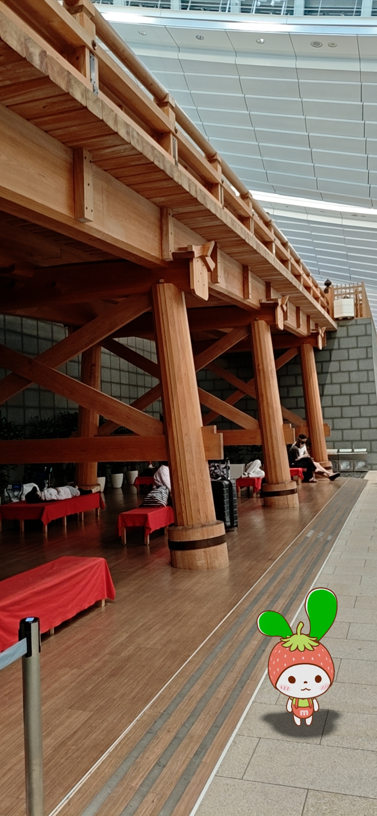 IMG_20260415_170819.jpg