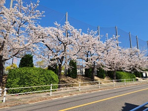 IMG_0443.jpeg