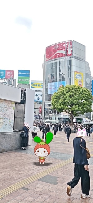 Shibuya_station.jpg