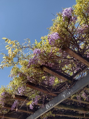 IMG_20260416_091740742_HDR.jpg