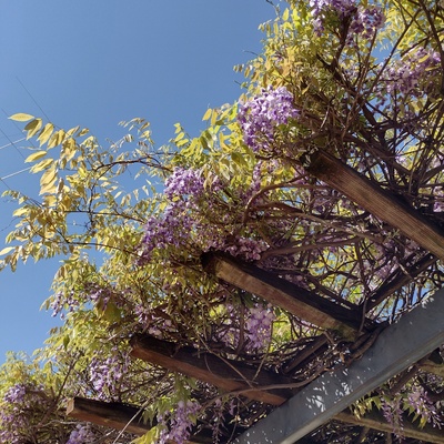 IMG_20260416_091740742_HDR.jpg