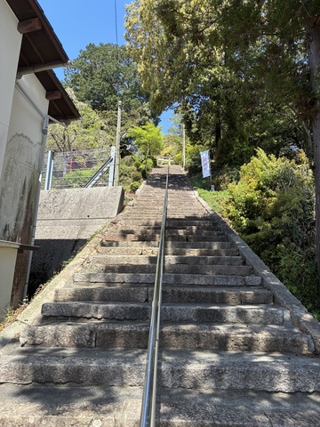 IMG_3996.jpeg