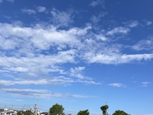 79CDA191-7515-454B-A199-2F19CCF3C0F3.jpeg