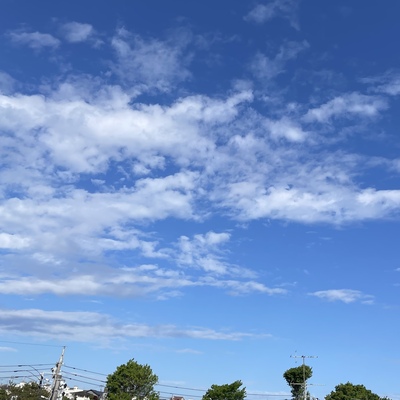 79CDA191-7515-454B-A199-2F19CCF3C0F3.jpeg