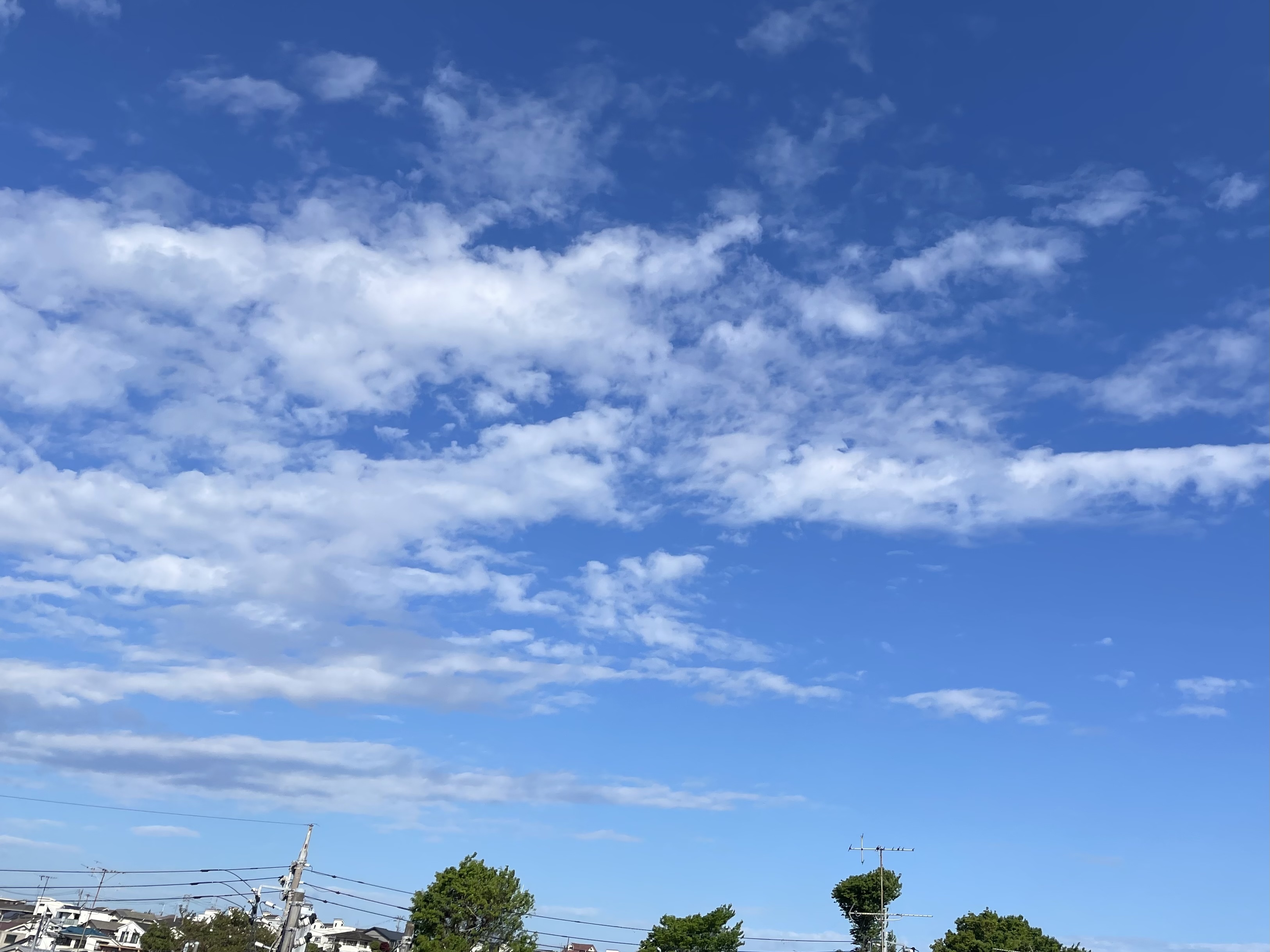 79CDA191-7515-454B-A199-2F19CCF3C0F3.jpeg