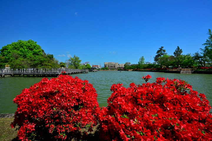 DSC_8173.jpg