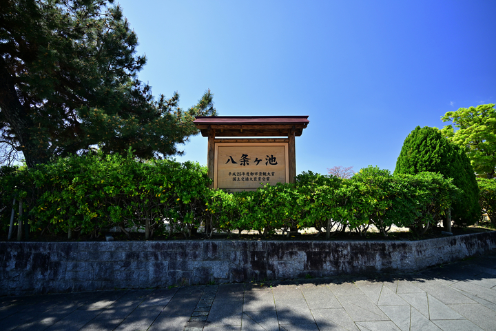 DSC_8241.jpg