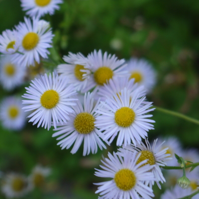 P1050351.JPG