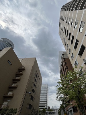 IMG_3040.jpeg
