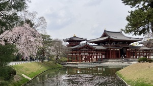 IMG_3294.jpeg