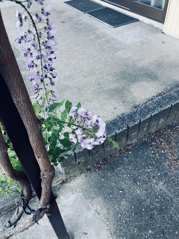 IMG_3357.jpeg