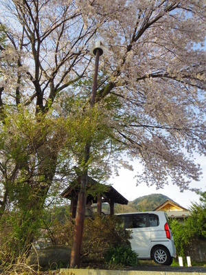 IMGP0909.JPG