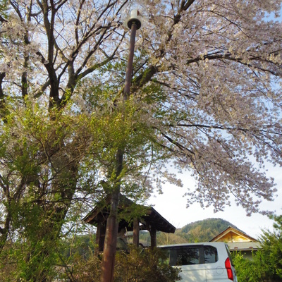 IMGP0909.JPG