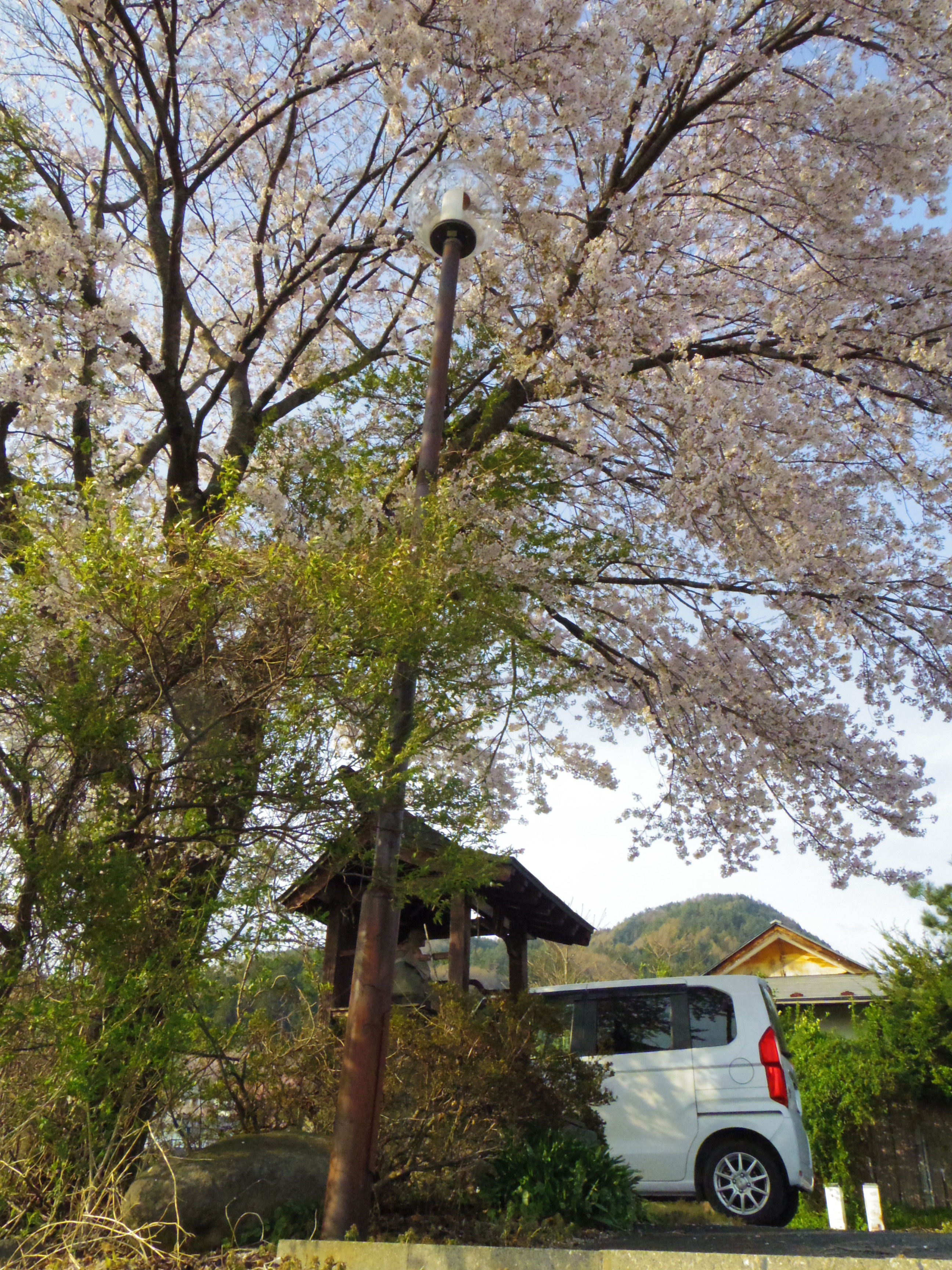 IMGP0909.JPG