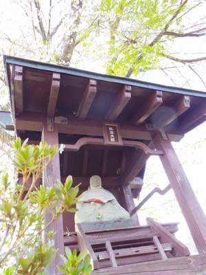 IMGP0908.JPG