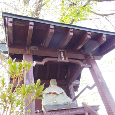 IMGP0908.JPG