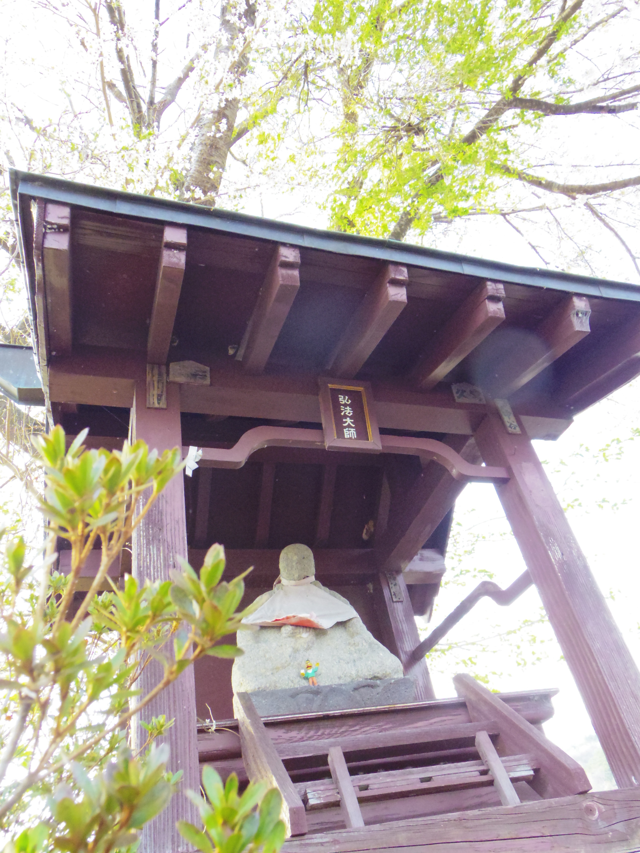 IMGP0908.JPG