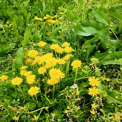 IMG_20260409_104142712_HDR_2.jpg