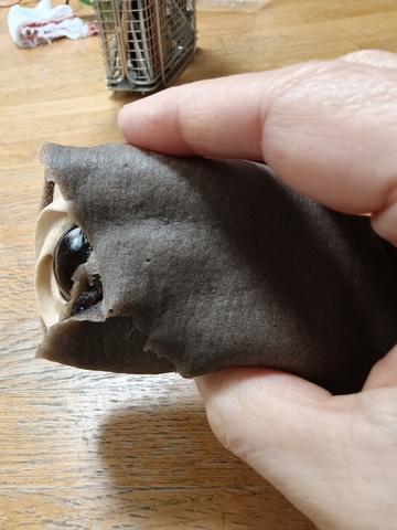 IMG20260417090301.jpg