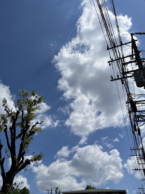 IMG_3047.jpeg