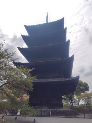260414110138910.JPG
