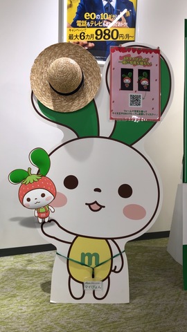 IMG_0311.jpeg