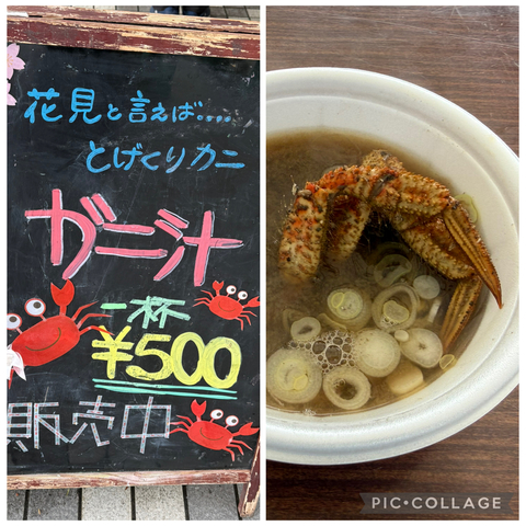 IMG_5682.jpeg