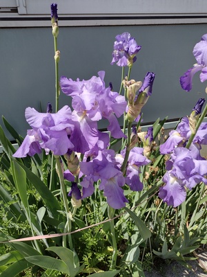 IMG_20260418_125832569_HDR.jpg