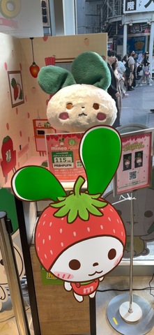 IMG_8589.jpeg