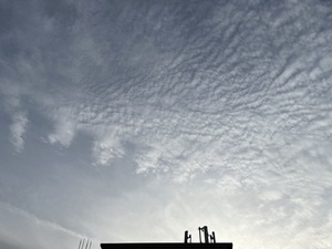 IMG_3056.jpeg