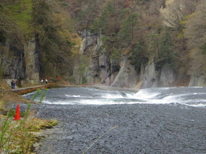 IMGP0920.JPG