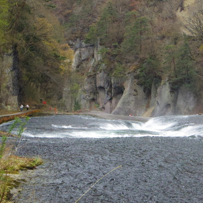 IMGP0920.JPG