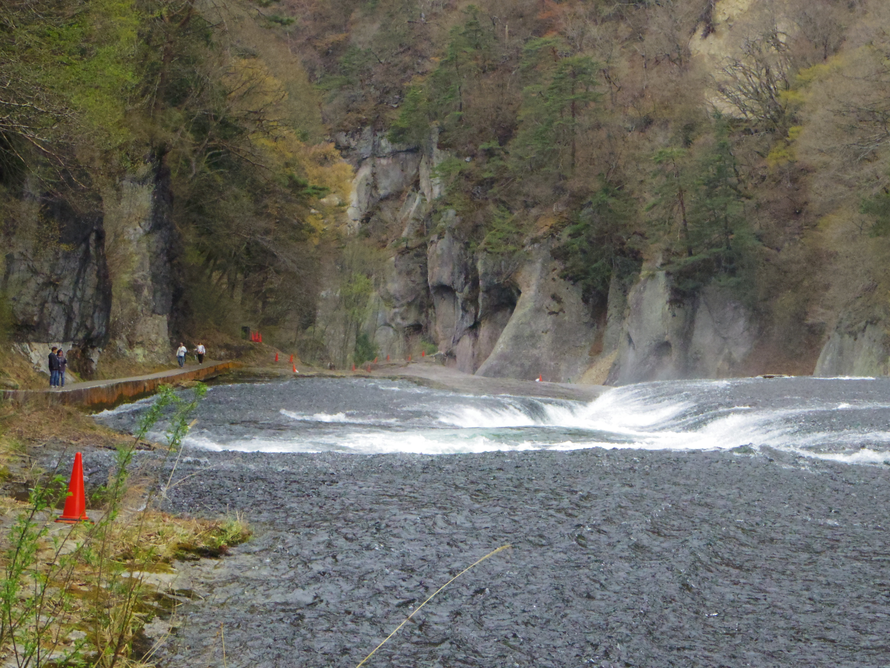 IMGP0920.JPG