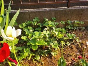 IMG_20240414_155721448.jpg