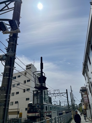 IMG_3053.jpeg