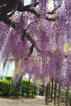 IMG_20260419_123746463_HDR_2.jpg